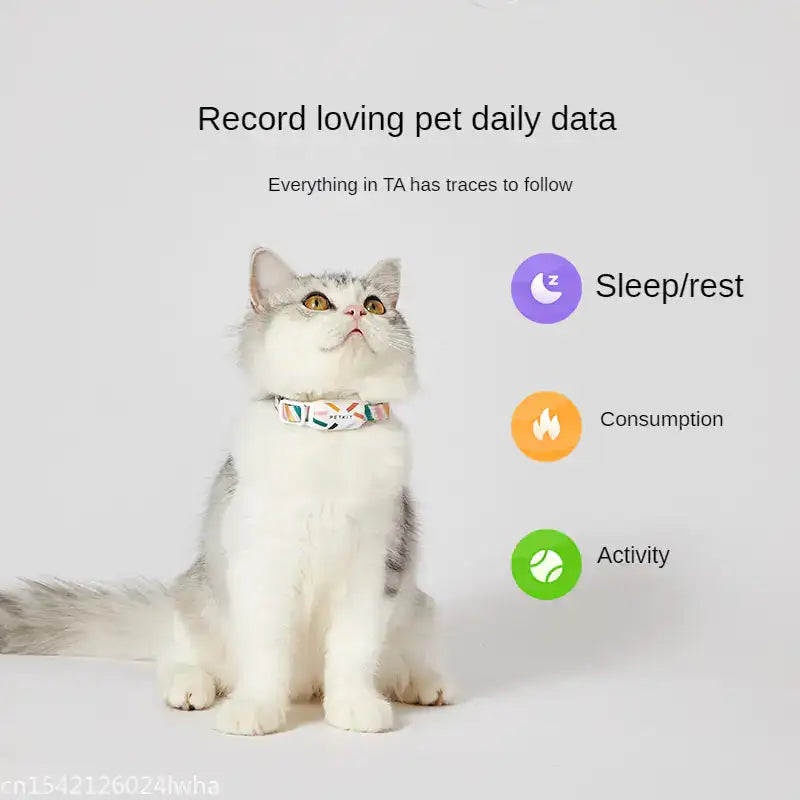 Pet's Smart Monitoring Collar - MeeowShop