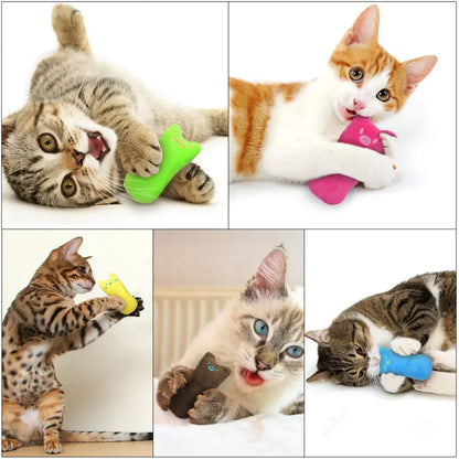 Cat's Cute Catnip Toy - MeeowShop