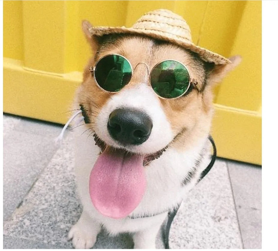 Pet's Round Vintage Sunglasses - MeeowShop