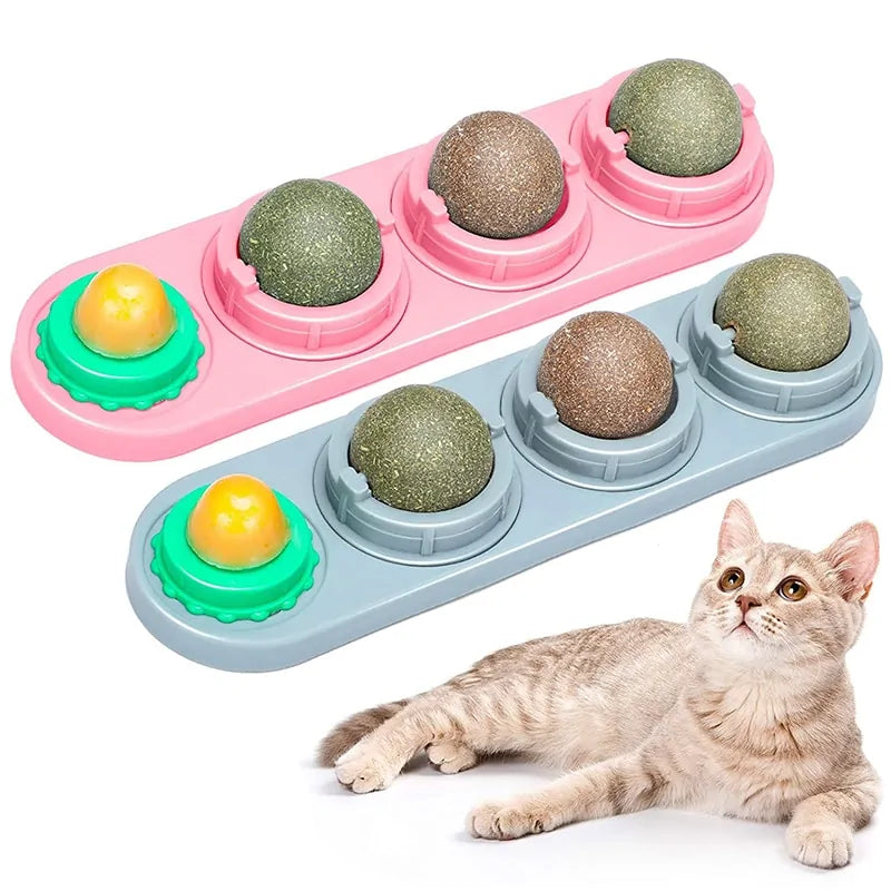 Cat's Catnip Wall Ball Toy - MeeowShop