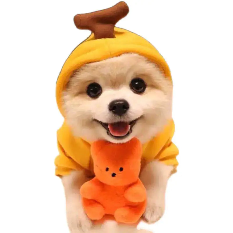 Pet's Halloween Costumes | Frog, Carrot, Banana - MeeowShop