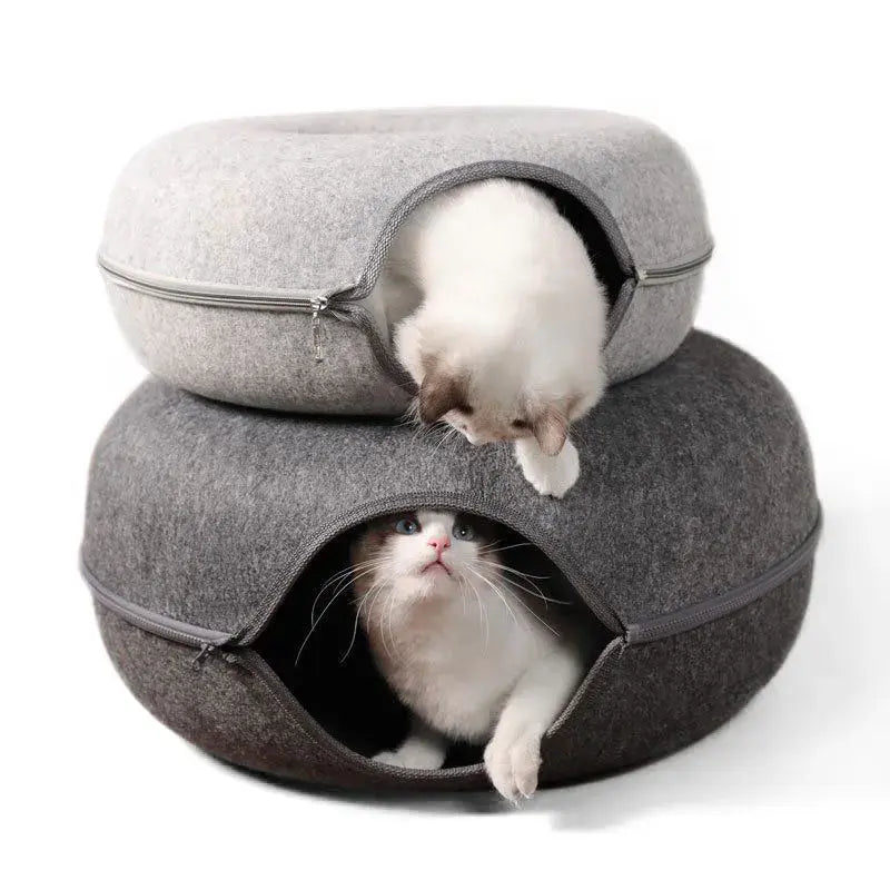 Cat's Colored Donut Tunnel - MeeowShop