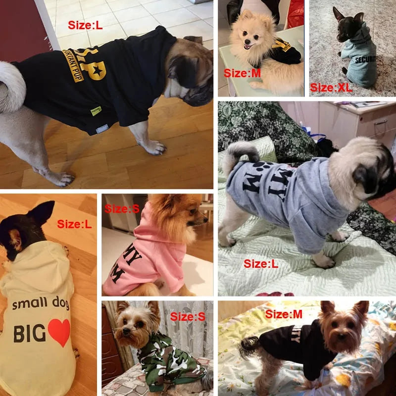 Pet's Warm Creative Funny Sweaters - MeeowShop