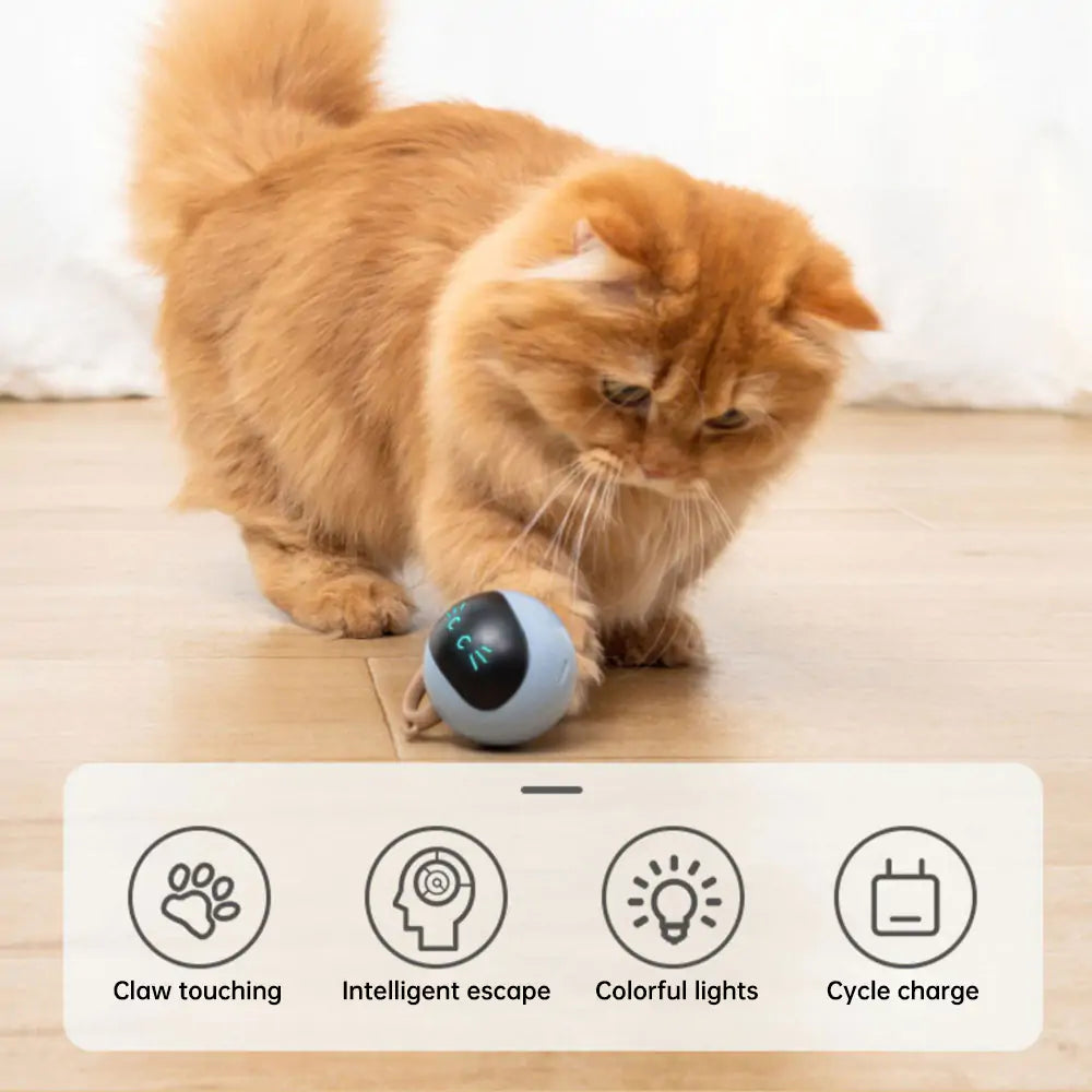 Cat's Electronic Ball - MeeowShop