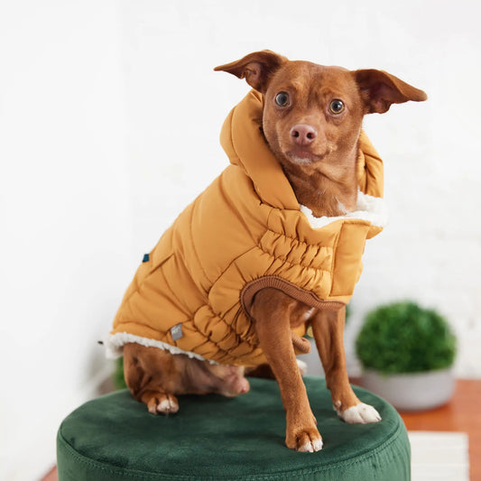 Dog's Super Puff Parka - Yellow