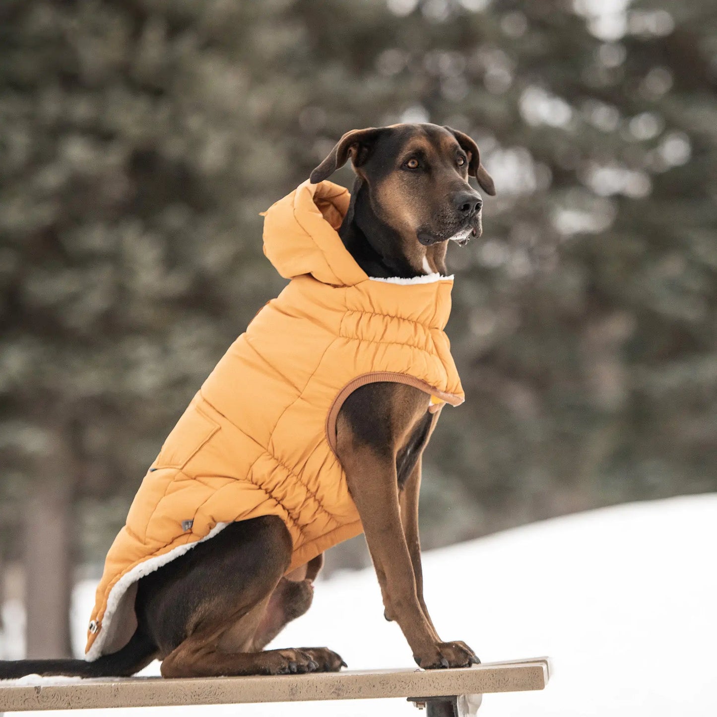 Dog's Super Puff Parka - Yellow