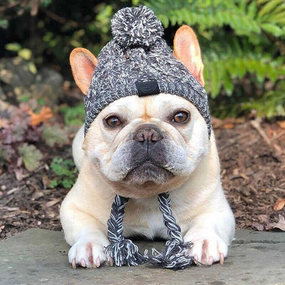 Pet Windproof Knitting Hat - MeeowShop