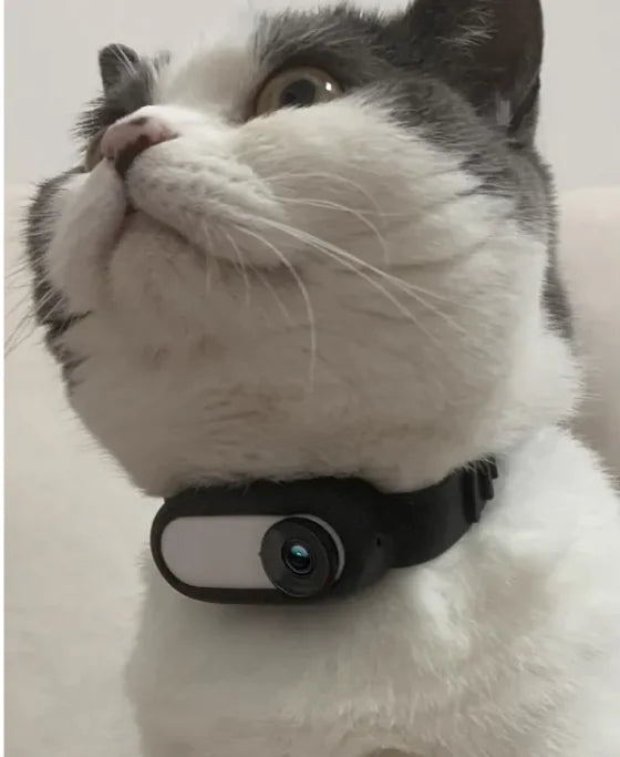 Pet's Wireless Pet Collar Camera