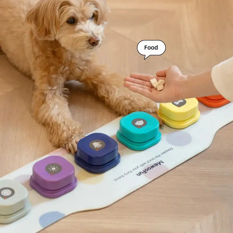 Pet's Recordable Buttons For Communication Training - MeeowShop