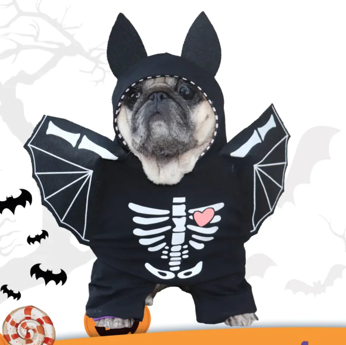 Dog's Black Bat Halloween Costume