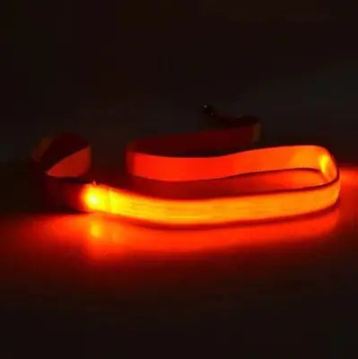 Dog's LED Light Leash - MeeowShop