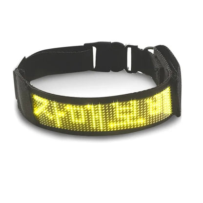 Pet's Bluetooth Luminous Collar - MeeowShop