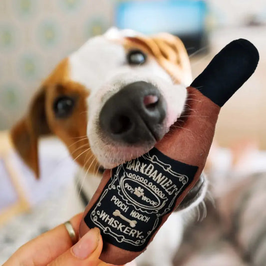 Dog's Jack Daniels Whiskey Chewing Toy - MeeowShop