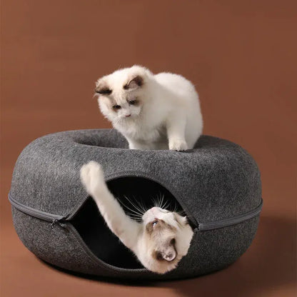 Cat's Colored Donut Tunnel - MeeowShop