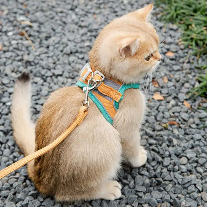 Cat's Harness & Leash Set - MeeowShop