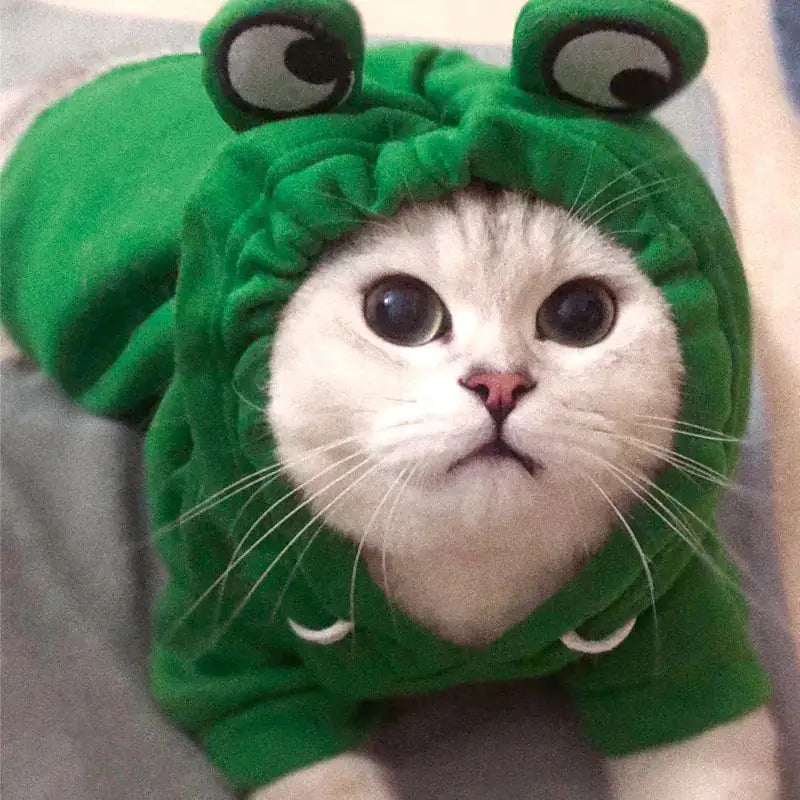 Pet's Halloween Costumes | Frog, Carrot, Banana - MeeowShop