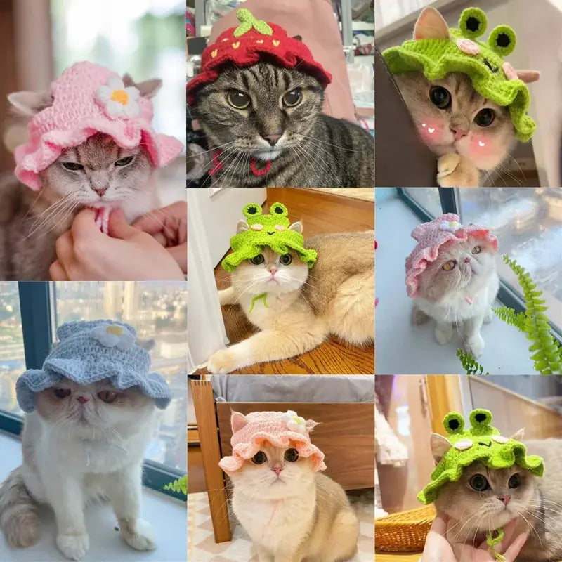 Cat's Cute Refined Hats | Flower, Frog & Strawberry - MeeowShop