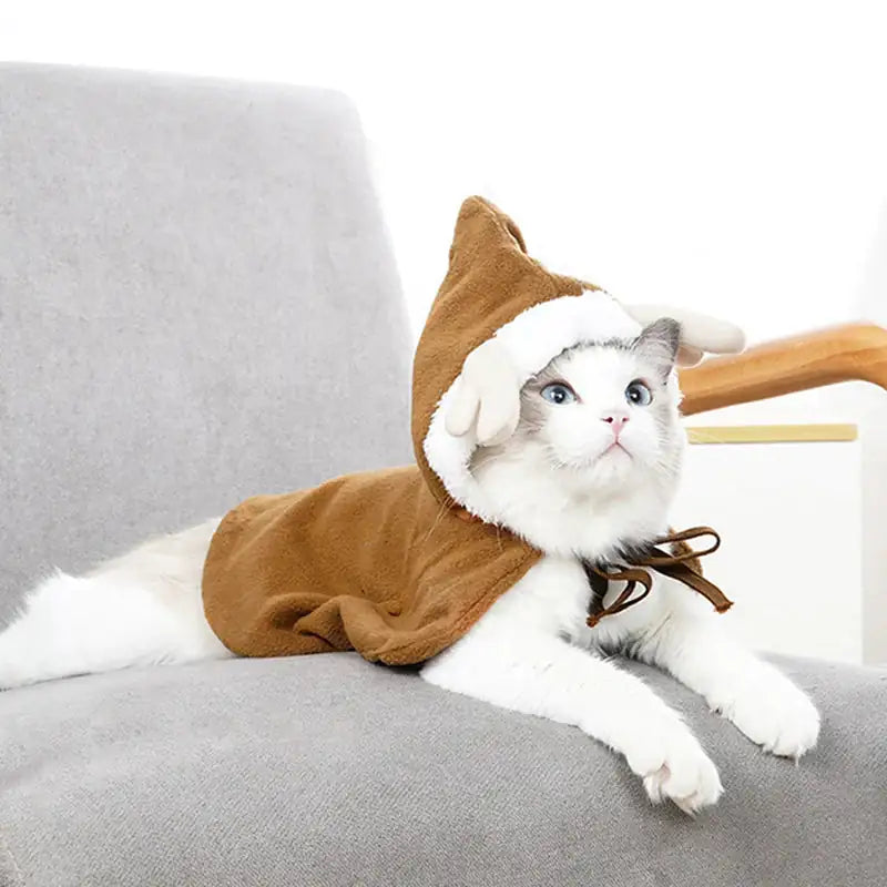 Cat's Festive Fur Holiday Attire - MeeowShop