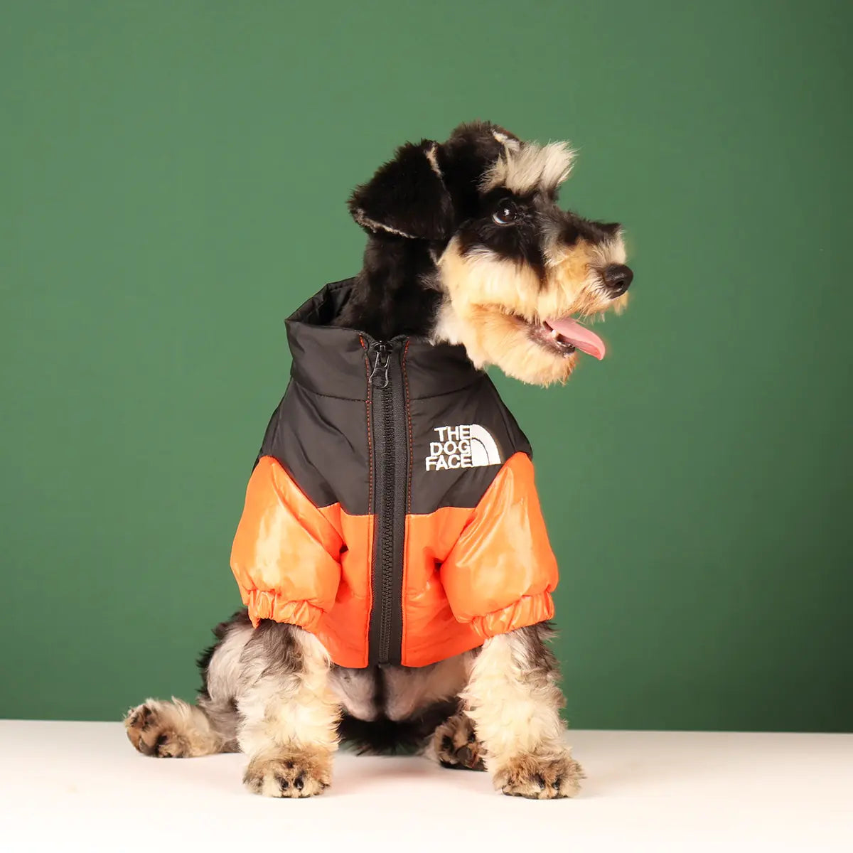 Windproof Reflective Dog Jacket | The Dog Face