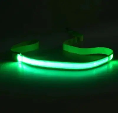 Dog's LED Light Leash - MeeowShop