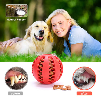 Pet's Interactive Rubber Ball Toy - MeeowShop