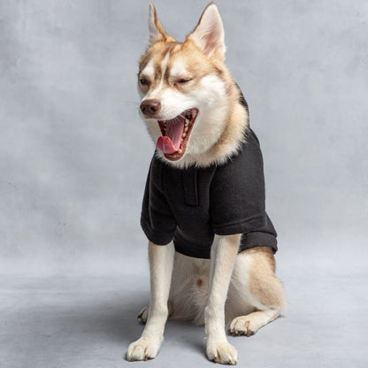 Pet's Hooded Fleece for Dogs and Cats - MeeowShop