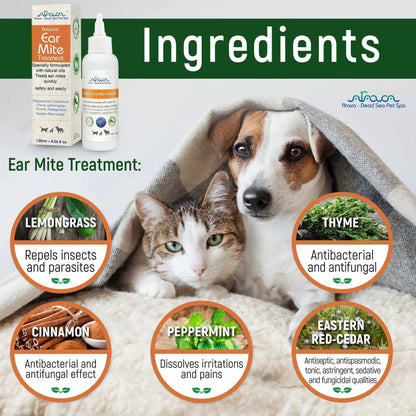 Natural Ear Mite Treatment for Adult Dogs & Cats Ear Mites Infection Cleaner