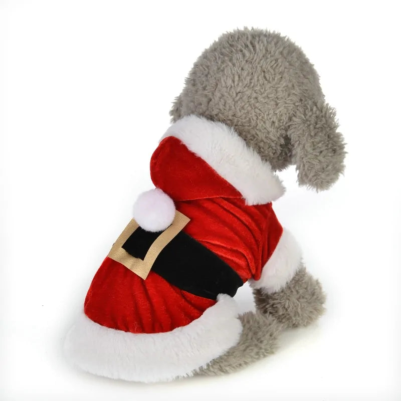 Pet's Santa Christmas Outfit - MeeowShop