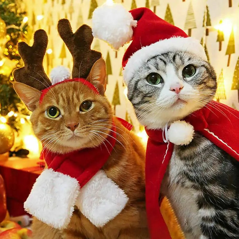 Pet's Christmas Outfits (In parts) - MeeowShop