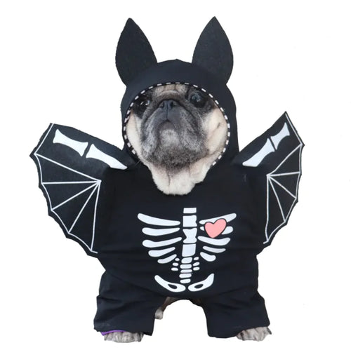 Dog's Black Bat Halloween Costume