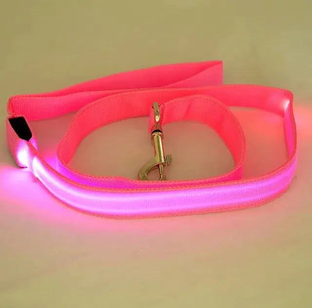 Dog's LED Light Leash - MeeowShop