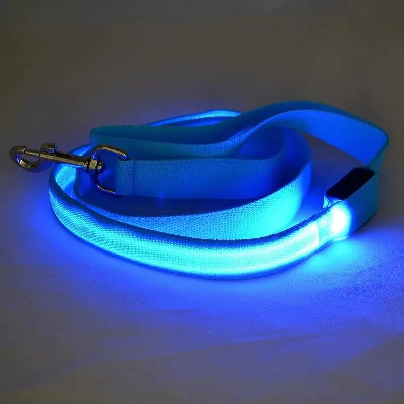 Dog's LED Light Leash - MeeowShop