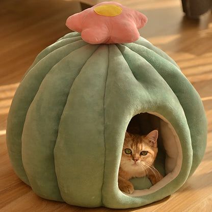 Pet's Cacti Hut - MeeowShop