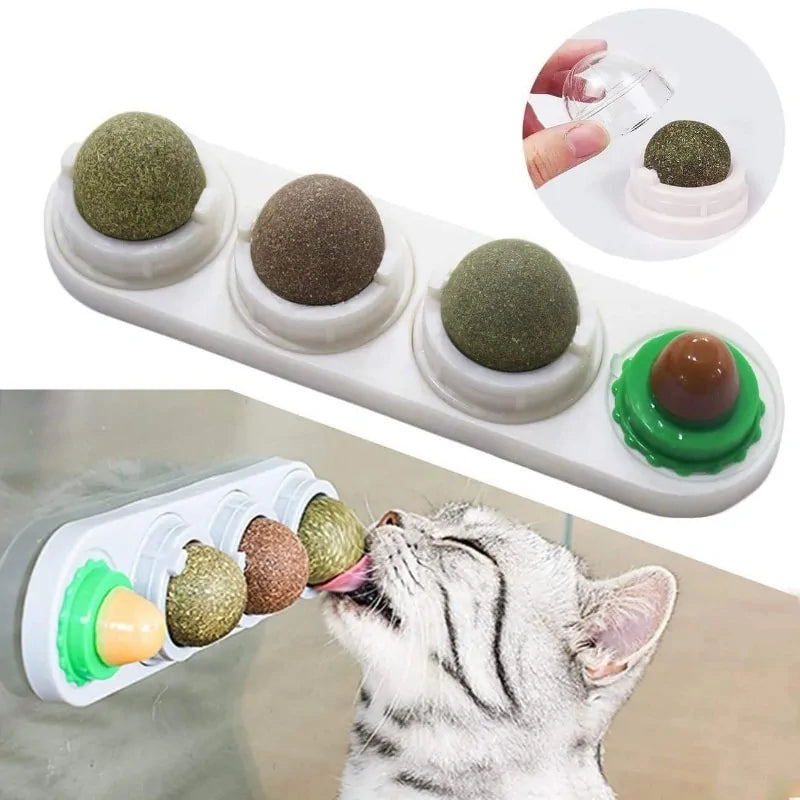 Cat's Catnip Wall Ball Toy - MeeowShop