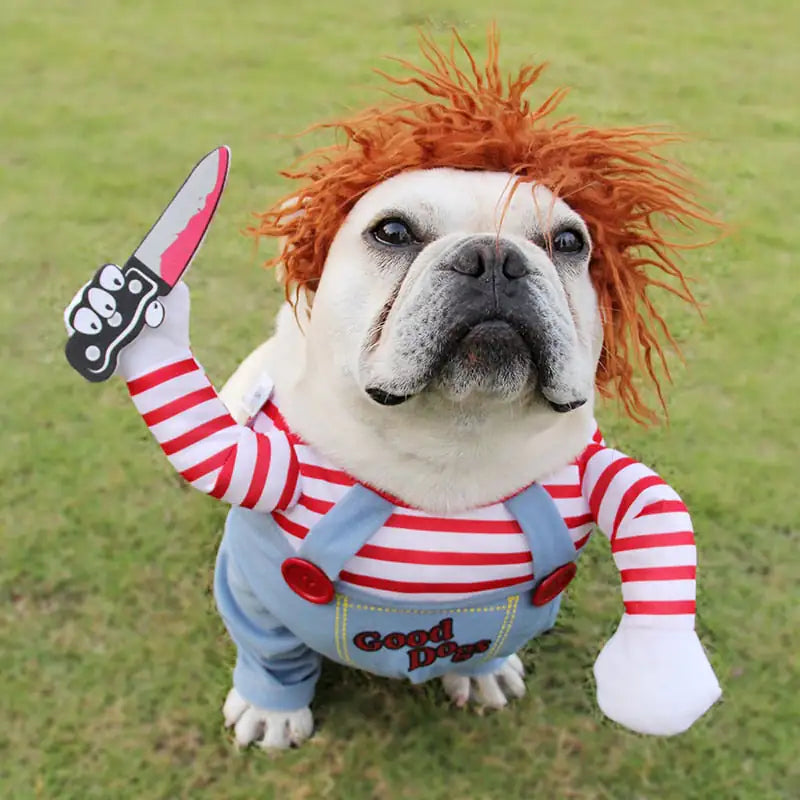 Pet's Chucky Doll Costume - MeeowShop