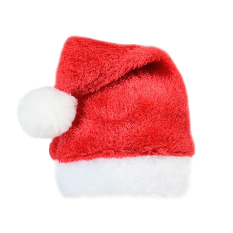 Pet's Christmas Santa Hat