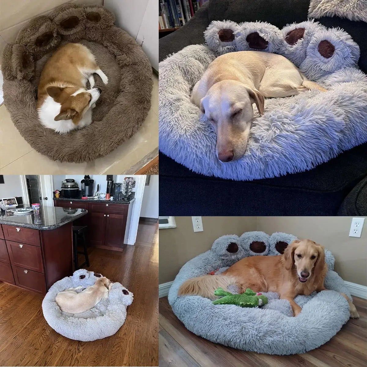 Dog's Giant Paw Sofa Bed - MeeowShop