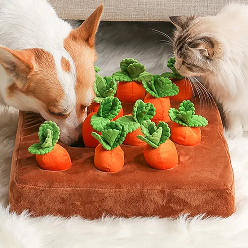 Pet's Plush Dog Chew-Toys/Cat-Beds - MeeowShop