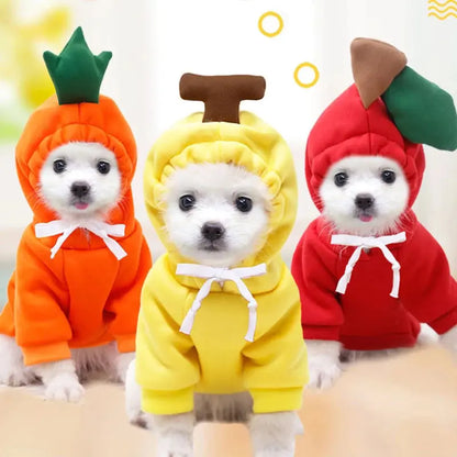 Pet's Halloween Costumes | Frog, Carrot, Banana - MeeowShop