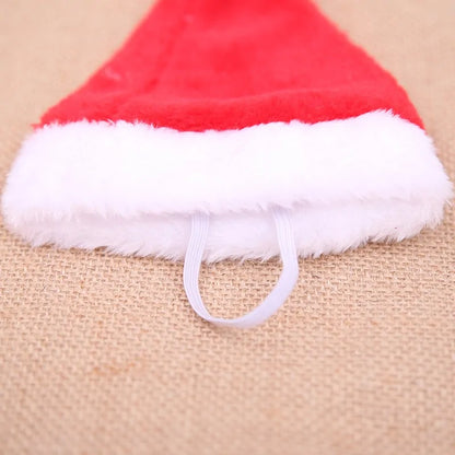 Pet's Christmas Santa Hat