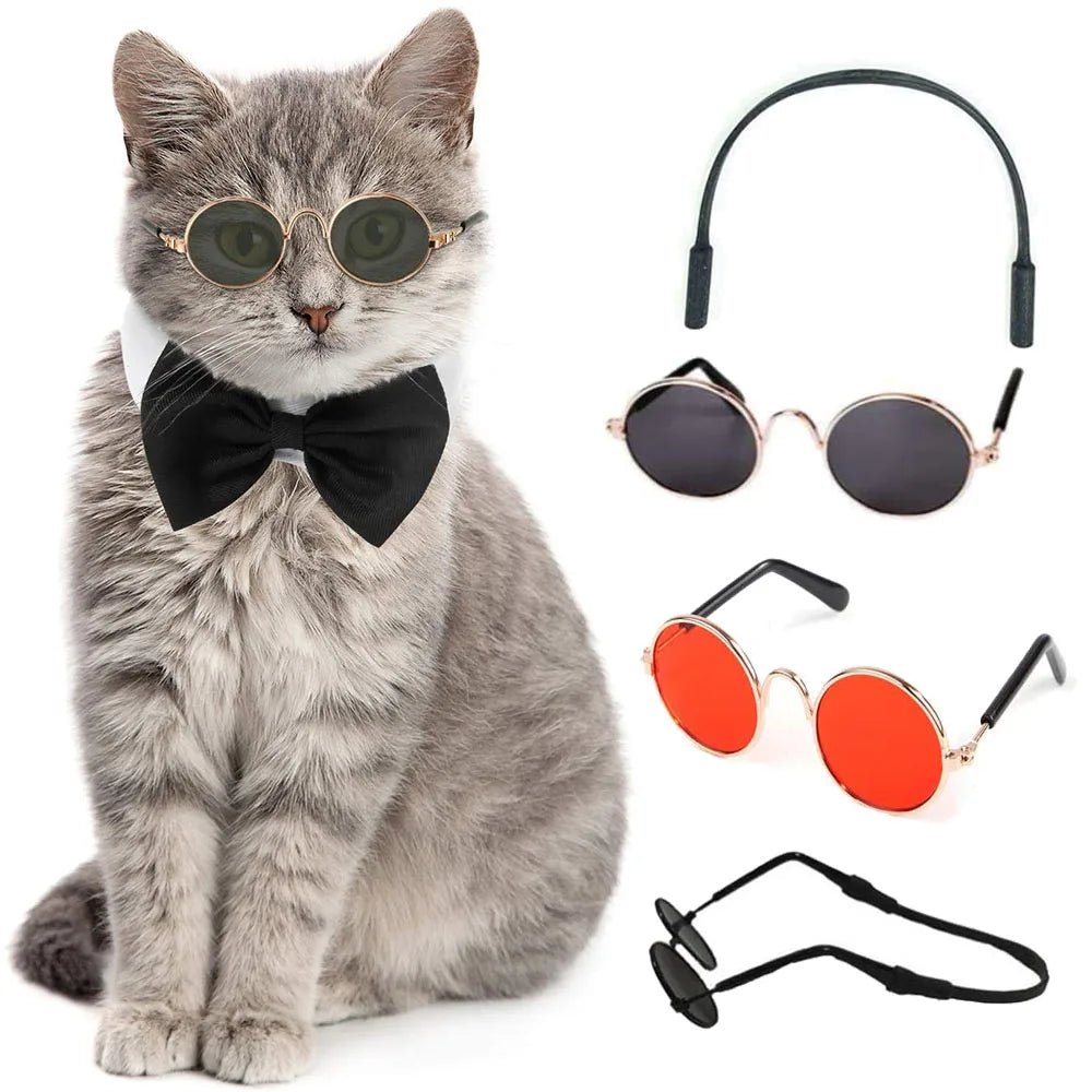 Pet's Fancy Glasses with UV Protection - MeeowShop