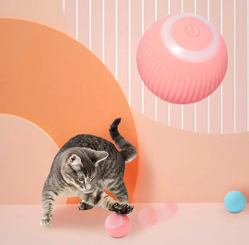 Cat's Electric Auto-Rolling Ball Toy - MeeowShop