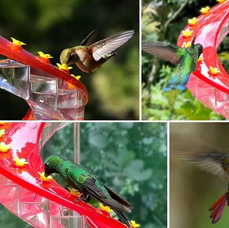 Helix Hummingbird Feeder - MeeowShop