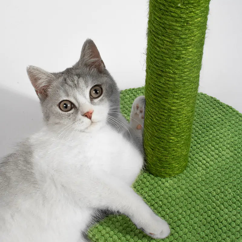 Cat Scratching Post Cacti or Palm Tree