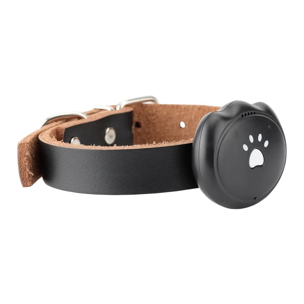 Pet's Waterproof Mini GPS Collar - MeeowShop