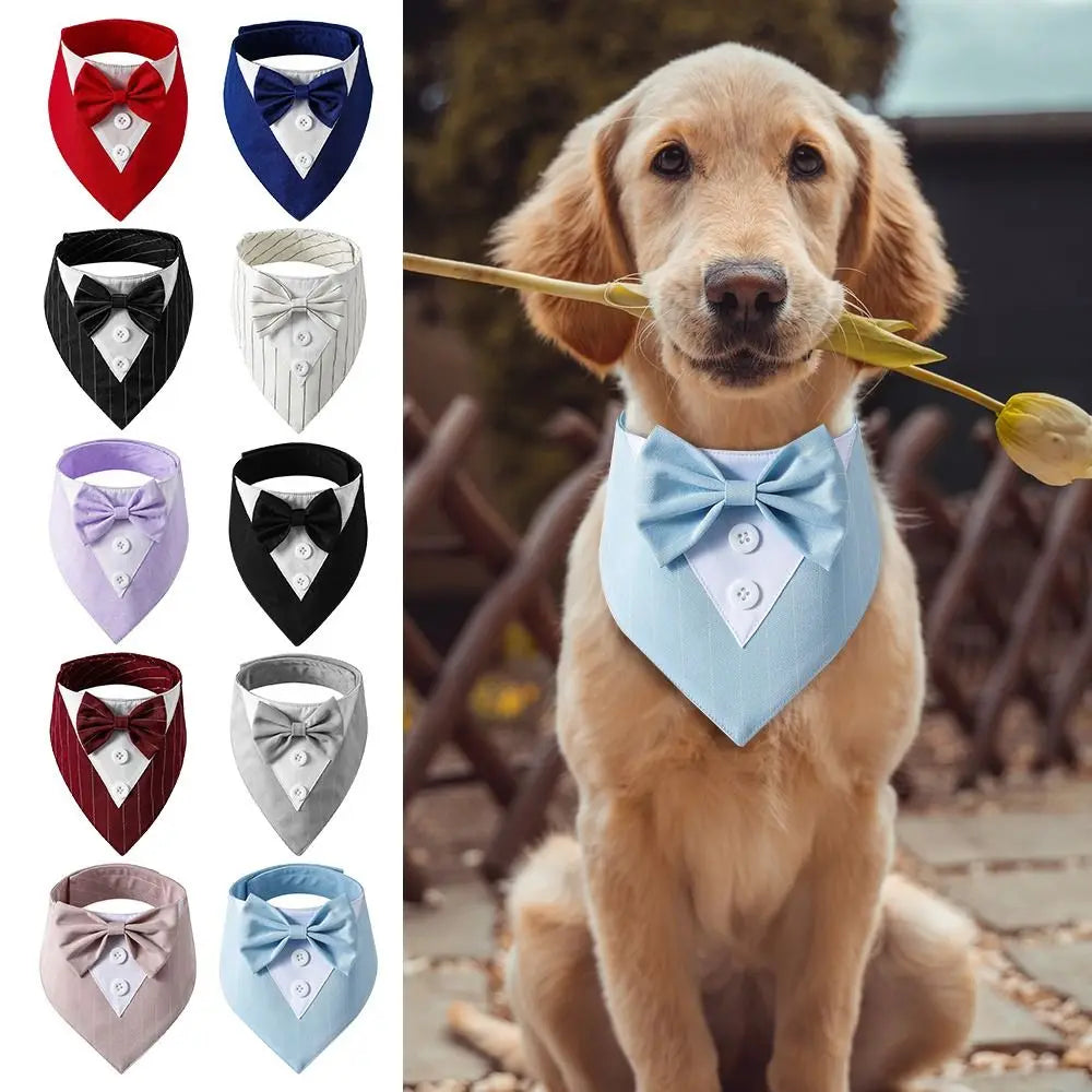 Pet's Fashionable Tuxedo Bow Ties - MeeowShop