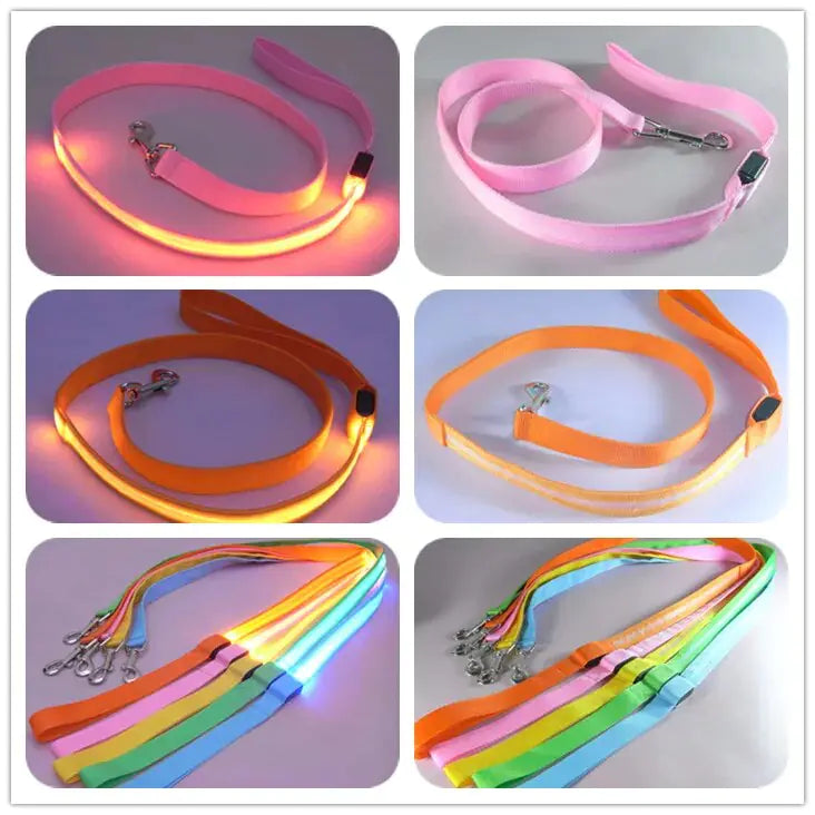 Dog's LED Light Leash - MeeowShop