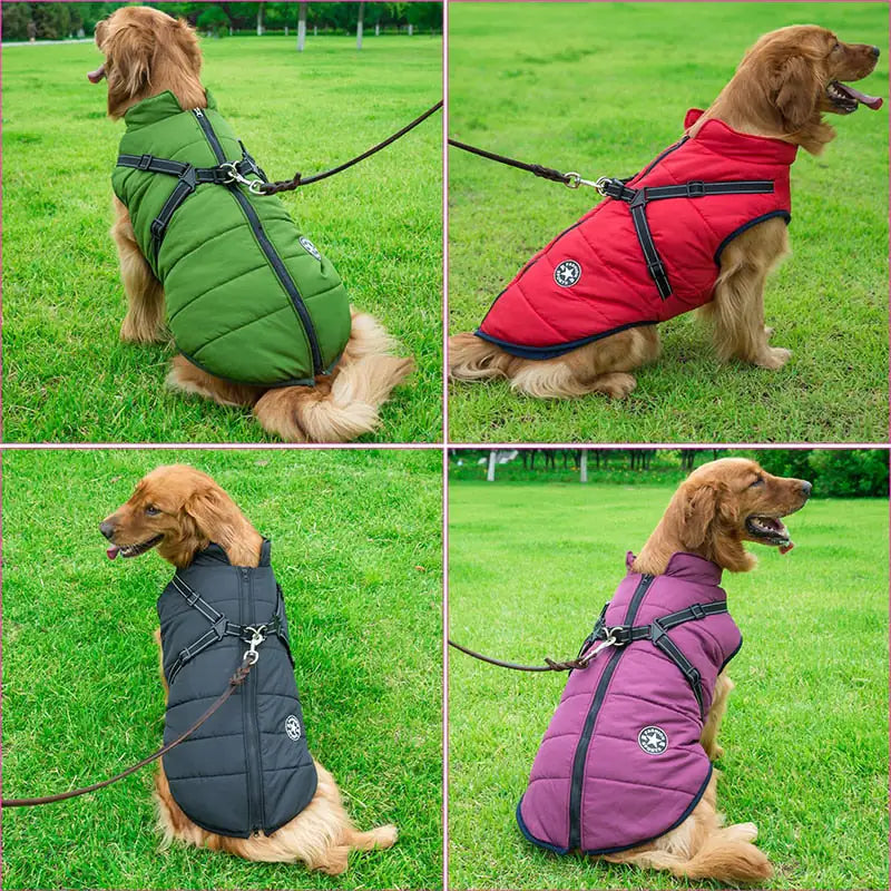 Dog's Quality Winter Jacket - MeeowShop