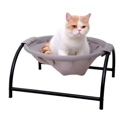 Cat's Iron Frame Hammock