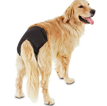 Dog's Reusable Diaper for Dog in Heat / Menstrual Cycle - MeeowShop